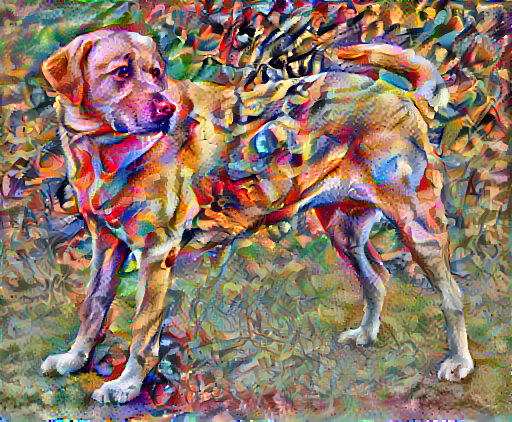 Neural style transfer - Class review