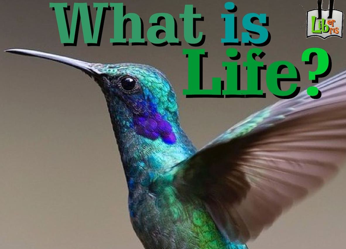 What is life - Book review