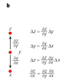The chain rule of derivatives