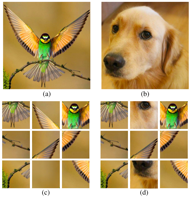 Self-supervised learning learns representations from the physical nature