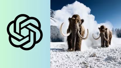 Foundation model on video generation - Sora case analysis