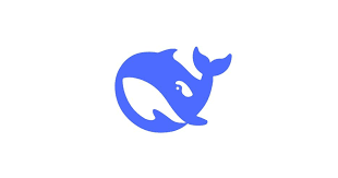 DeepSeek series: tools, characteristics, and functionalities