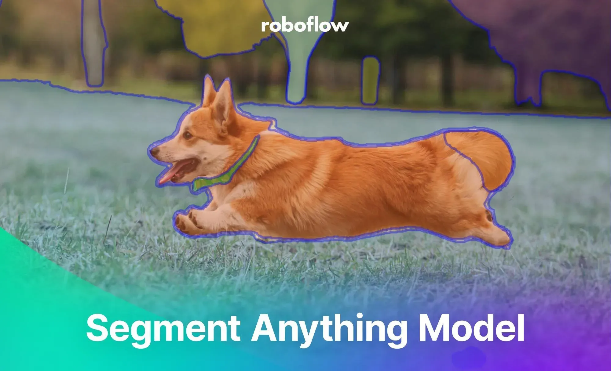 Introduction to segment anything models