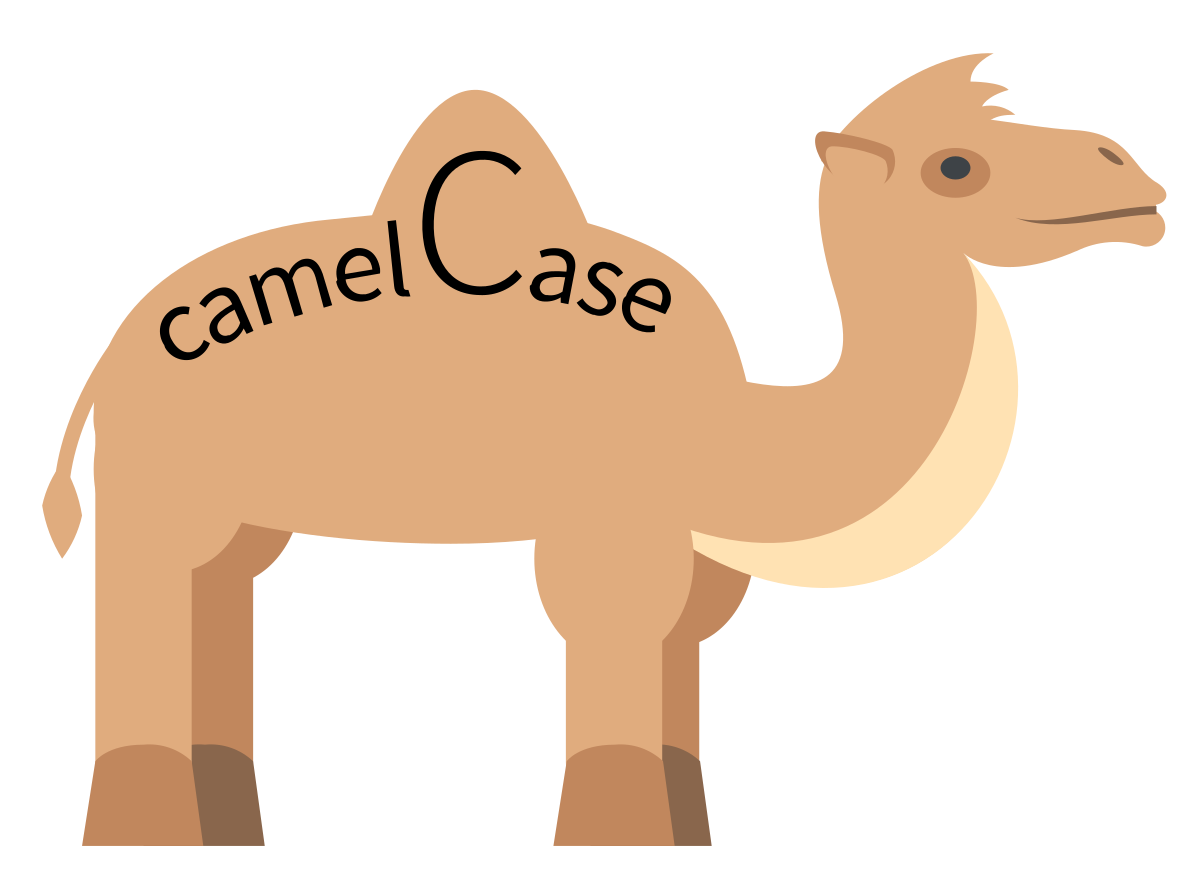Programming advanced techniques: naming convention and camelCase