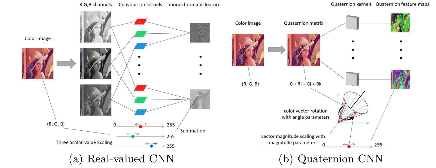 Illustration of the difference between CNN and QCNN on convolution layers